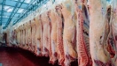 Exportaes de carne bovina somam US$ 505 milhes em julho