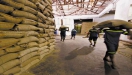 Exportaes de caf por Santos crescem 13,9 % no quadrimestre